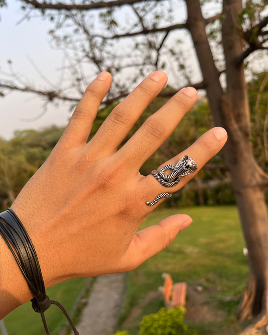 Snake Ring, Silver Snake Ring, Brass Snake Ring, Brass Ring, Ring